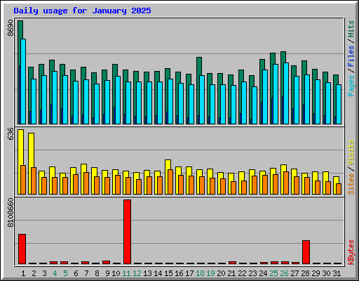 Daily usage for January 2025