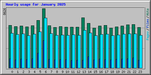 Hourly usage for January 2025