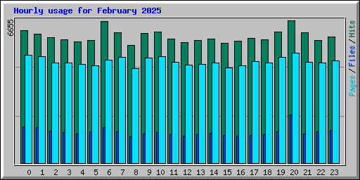 Hourly usage for February 2025