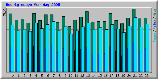 Hourly usage for May 2025