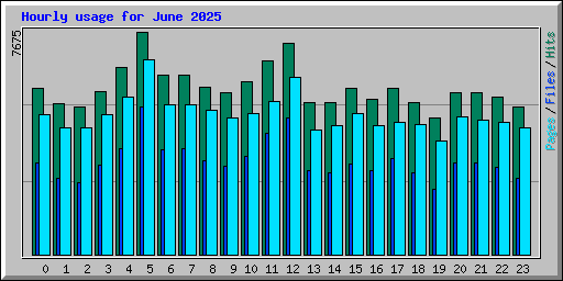 Hourly usage for June 2025