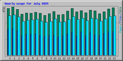Hourly usage for July 2025