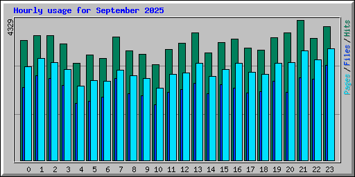 Hourly usage for September 2025