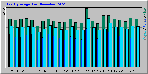 Hourly usage for November 2025