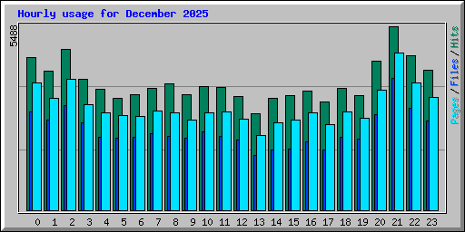 Hourly usage for December 2025