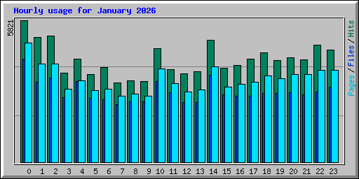 Hourly usage for January 2026