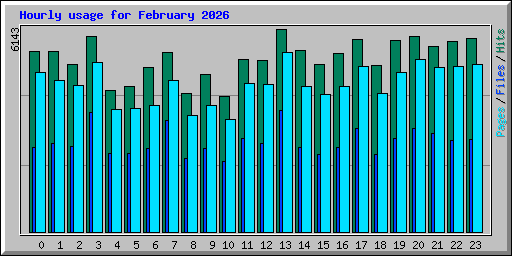 Hourly usage for February 2026