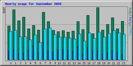 Hourly usage for September 2026
